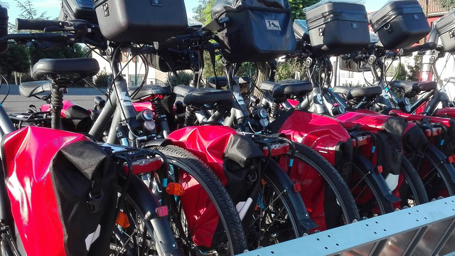 Location vélos petit cyclo
